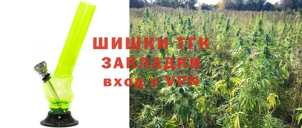 герыч Ельня