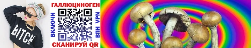 Псилоцибиновые грибы Psilocybe  Купить где  Азов 